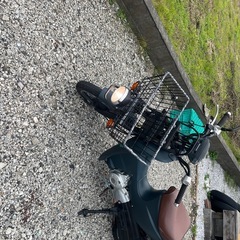 JA07 110　カブ　指宿　鹿児島　プロの画像