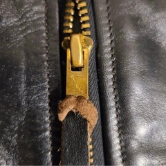 ダブルヘリックス　ライダースの画像