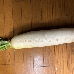 お野菜　単品　100円〜250円の画像