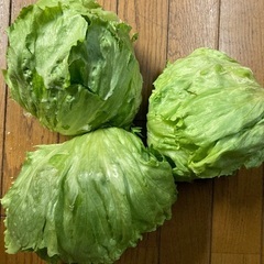 お野菜　単品　100円〜250円の画像