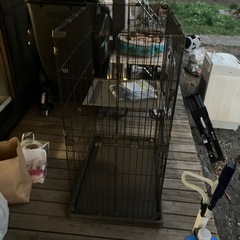 猫の2階建て大型ケージの画像