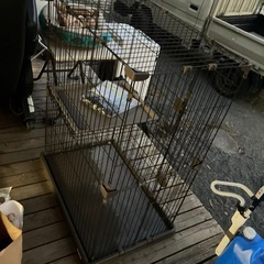 猫の2階建て大型ケージの画像