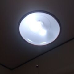 電氣傘とルーペ付き電氣スタンドの画像