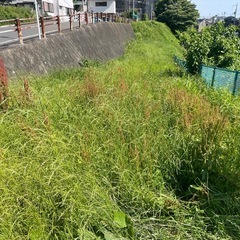 【明文化しました】草刈りのお手伝い承ります