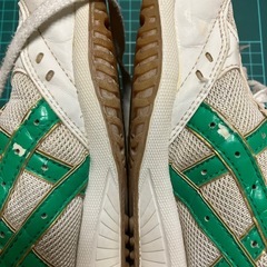 アシックス屋内シューズの画像