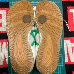 アシックス屋内シューズの画像