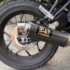 XSR155 走行3600km ヨシムラマフラー　ローダウンの画像