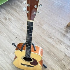 【アコースティックギター】  楽器を始めませんか？の画像
