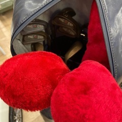 ●無料●PINGゴルフセットの画像