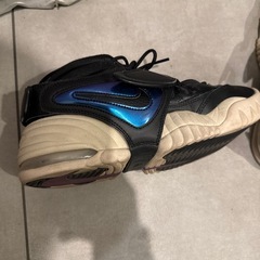 受渡し決定しました 無料で差し上げます　中古NIKEスニーカー25cmの画像