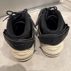 受渡し決定しました 無料で差し上げます　中古NIKEスニーカー25cmの画像