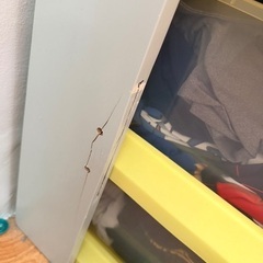 シングルベットフレーム　イエローボックスの画像