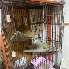 ボンビ ウッドワンサークルキャット 2段の画像