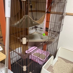 ボンビ ウッドワンサークルキャット 2段の画像