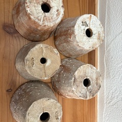 pots鉢 多肉植物の欲しがる鉢 植木鉢 陶器製 エケベリア 錦玉園の画像