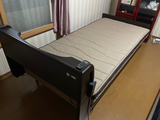 FRANCEBED 電動ベッド