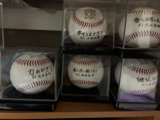 甲子園100周年記念ボール全5種新品甲子園球場阪神タイガース (なお