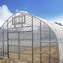 ビニールハウスのビニールを頂けませんか？