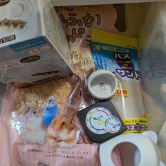 ハムスターセットの画像