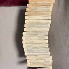 ◎『X一 バツイチ ー愛を探してー』全19巻セット・国友やすゆきの画像