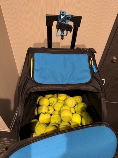 slinger bag