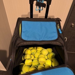 slinger bagの画像