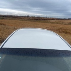 DAIHATSU MOVE(2009)車検なしの画像