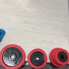 筋トレ！アームカール/アームバーの画像