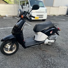 Today❕他在庫多数見学大歓迎の画像