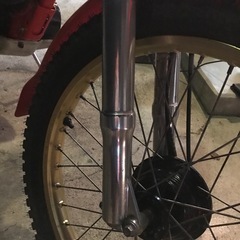 TLR200実動低走行幻の一台の画像