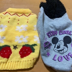 ワンちゃん用　ペットウェア　の画像