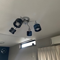 黒色シーリングライトの画像