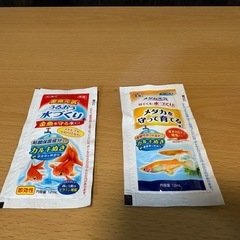 水槽　GEX 10L 一式　流木つきの画像