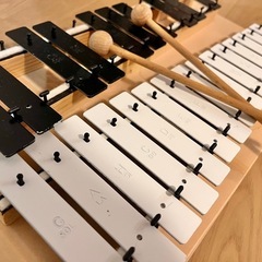 goldon 鉄琴　メタロホン メタロフォンmetallophon の画像