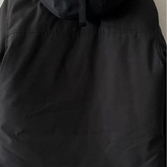 カナダグース。メイトランド
の画像