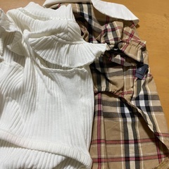 ペットウェア　ワンちゃん用の画像