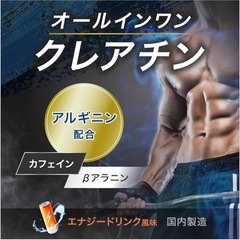 【新品】アンビーク オールインワン クレアチン 325g 国産 筋トレ トレーニング アルギニン エナジー補給 カフェインの画像