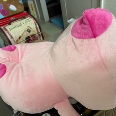 こびとづかん カクレモモジリの画像