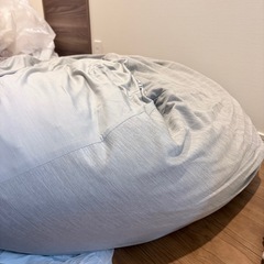 ニトリ 人をダメにするクッションの画像