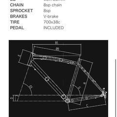 2019年式  Bianchi Cスポーツ カスタムあり 総額8万以上  室内保管✨の画像
