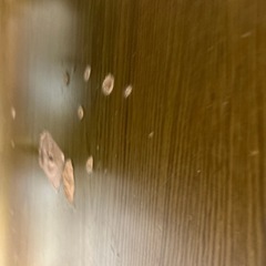 コタツ　　壊れてますの画像