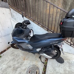 PCX 売ります。の画像