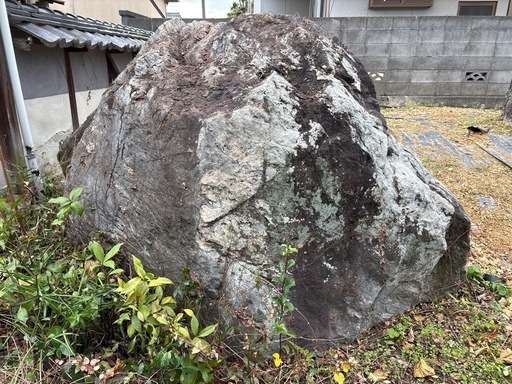 庭石　【引取り限定】 無料】立派な庭石引取り限定 (ahnya) 松山の家庭用品《ガーデニング