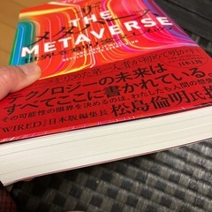 書籍『ザ・メタバース』の画像