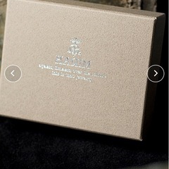 HARIM ハリム / LEO＆ROSE シルバー925レオ＆ローズゴールドチャームネックレス / HRP086Sの画像