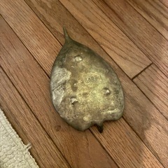 葉っぱの小物置きの画像