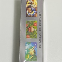 ポケモンカード　テラスタルex
の画像