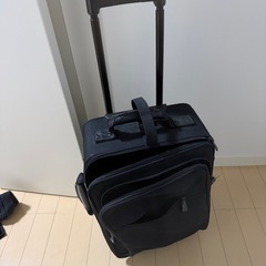 キャリーバッグの画像