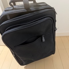 キャリーバッグの画像