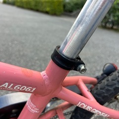 ルイガノ　子供
用自転車　16インチの画像